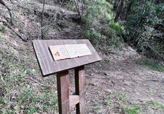 visitceriale_sport-escursioni_07 visitceriale_sport-escursioni_07