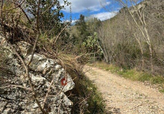 visitceriale_sport-escursioni_08 visitceriale_sport-escursioni_08