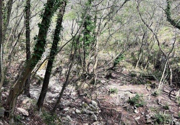 visitceriale_sport-escursioni_09 visitceriale_sport-escursioni_09