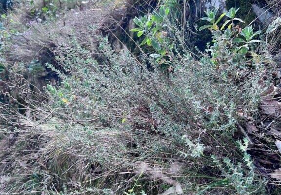 visitceriale_sport-escursioni_11 visitceriale_sport-escursioni_11